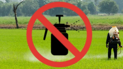 Obavijest građanima – neprimjena herbicida na javnoj površini