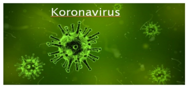 Prvi potvrđeni slučaj zaraze korona virusom u Svetom Ivanu Zelini