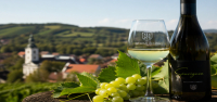 Zelinski vinari među najboljima na svijetu u sauvignonu